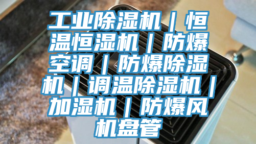 工業(yè)除濕機｜恒溫恒濕機｜防爆空調｜防爆除濕機｜調溫除濕機｜加濕機｜防爆風(fēng)機盤(pán)管
