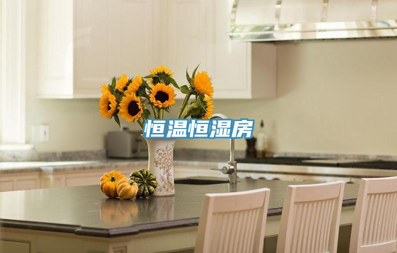 恒溫恒濕房