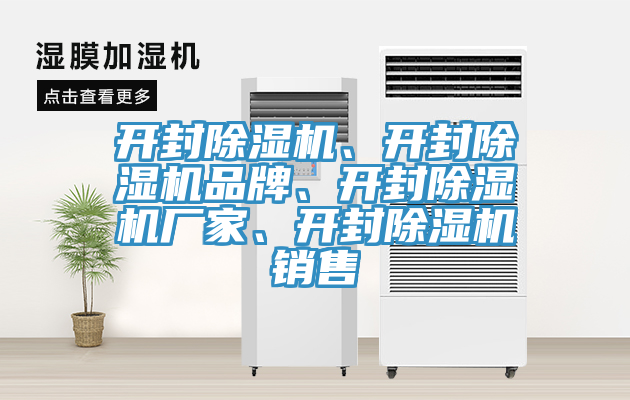 開(kāi)封除濕機、開(kāi)封除濕機品牌、開(kāi)封除濕機廠(chǎng)家、開(kāi)封除濕機銷(xiāo)售