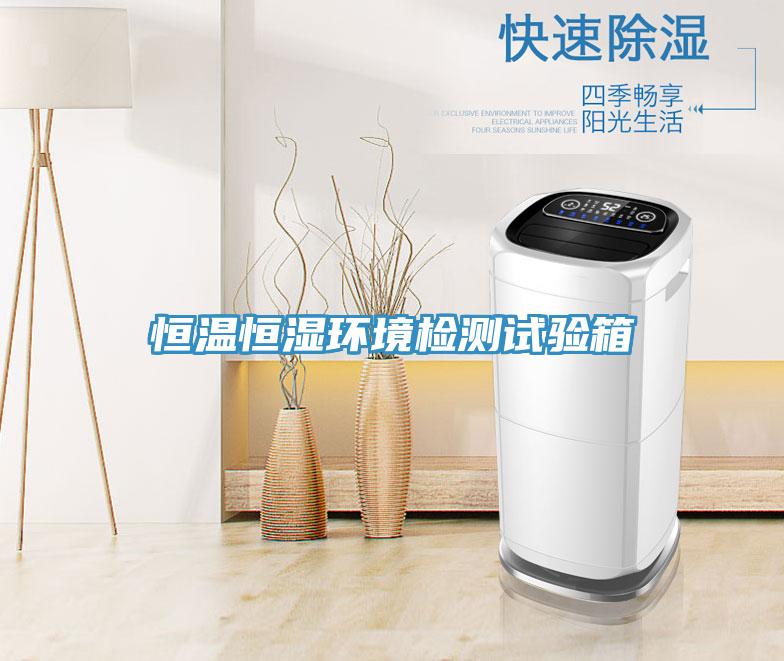 恒溫恒濕環(huán)境檢測試驗箱