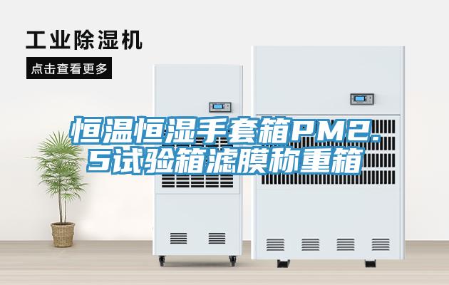 恒溫恒濕手套箱PM2.5試驗箱濾膜稱(chēng)重箱
