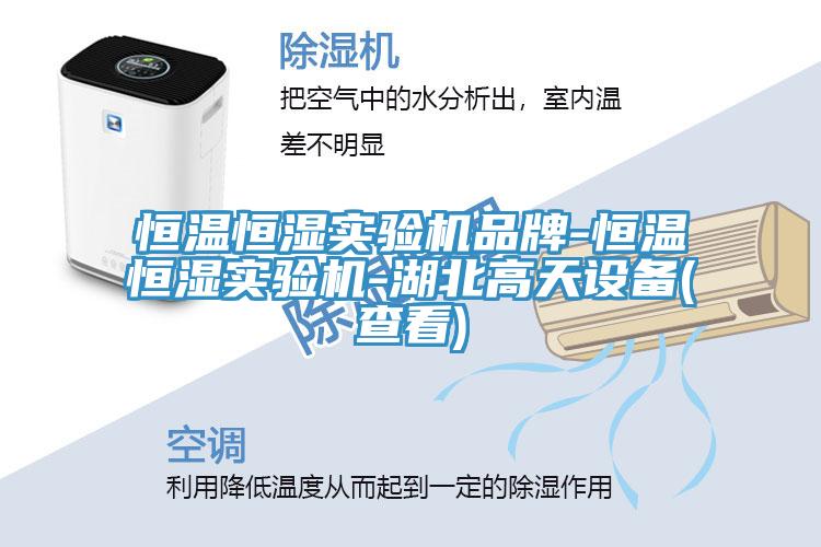 恒溫恒濕實(shí)驗機品牌-恒溫恒濕實(shí)驗機-湖北高天設備(查看)