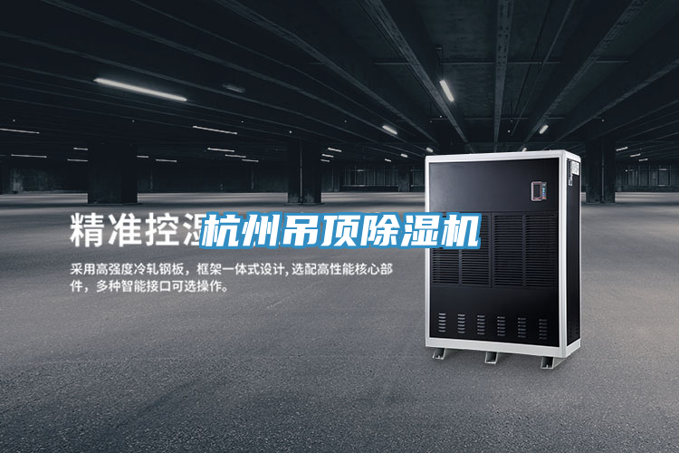 杭州吊頂除濕機