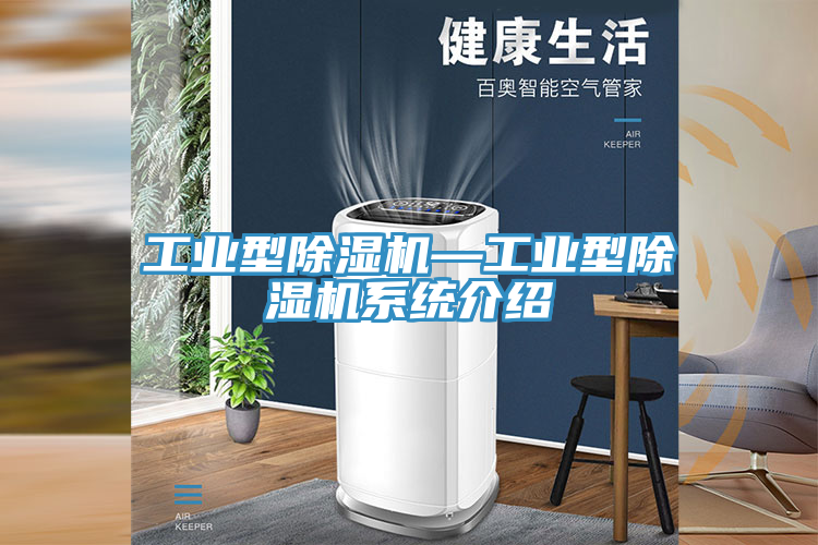 工業(yè)型除濕機—工業(yè)型除濕機系統介紹