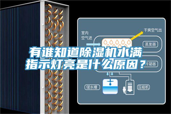 有誰(shuí)知道除濕機水滿(mǎn)指示燈亮是什么原因？