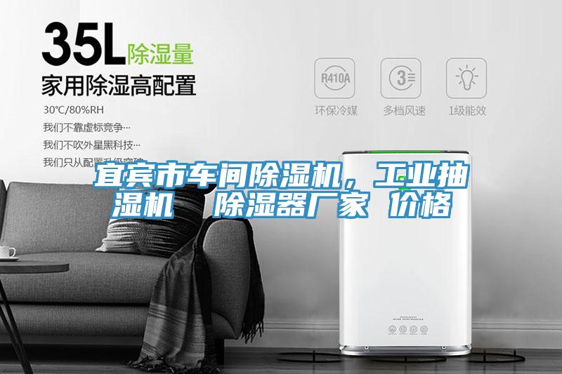 宜賓市車(chē)間除濕機，工業(yè)抽濕機  除濕器廠(chǎng)家 價(jià)格
