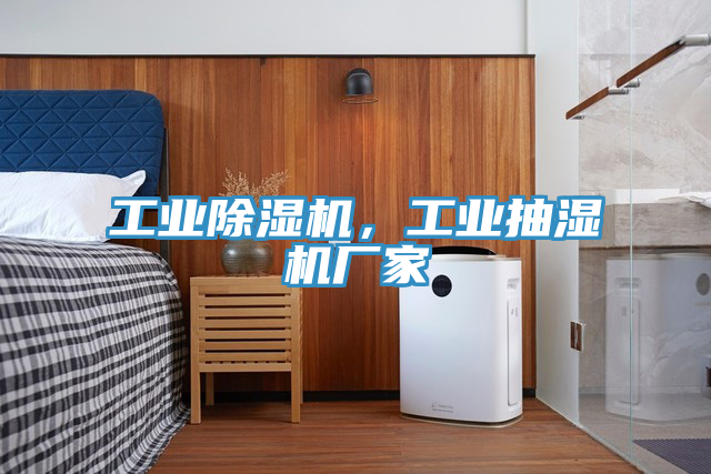 工業(yè)除濕機，工業(yè)抽濕機廠(chǎng)家