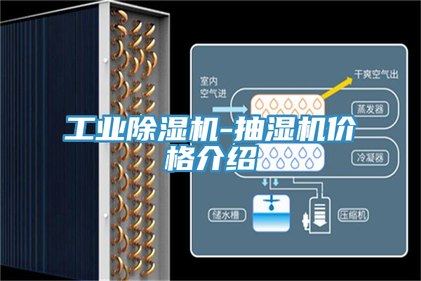 工業(yè)除濕機-抽濕機價(jià)格介紹