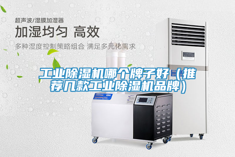 工業(yè)除濕機哪個(gè)牌子好（推薦幾款工業(yè)除濕機品牌）