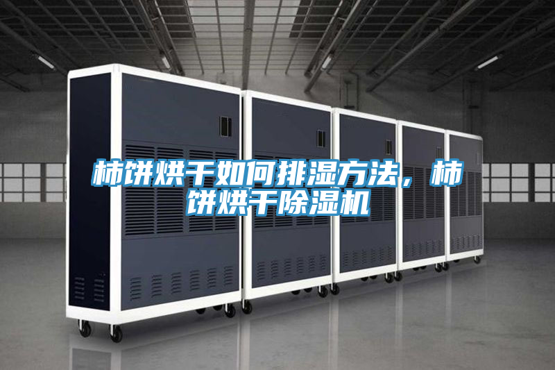 柿餅烘干如何排濕方法，柿餅烘干除濕機