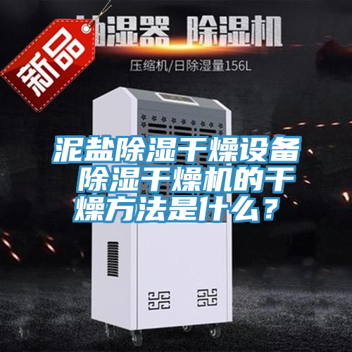泥鹽除濕干燥設備 除濕干燥機的干燥方法是什么？