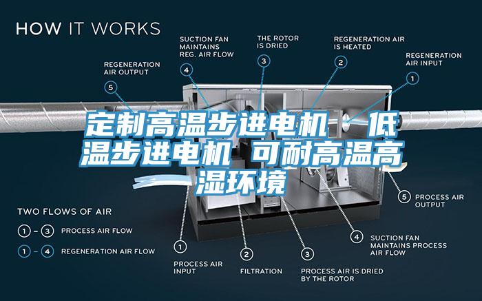 定制高溫步進(jìn)電機  低溫步進(jìn)電機 可耐高溫高濕環(huán)境
