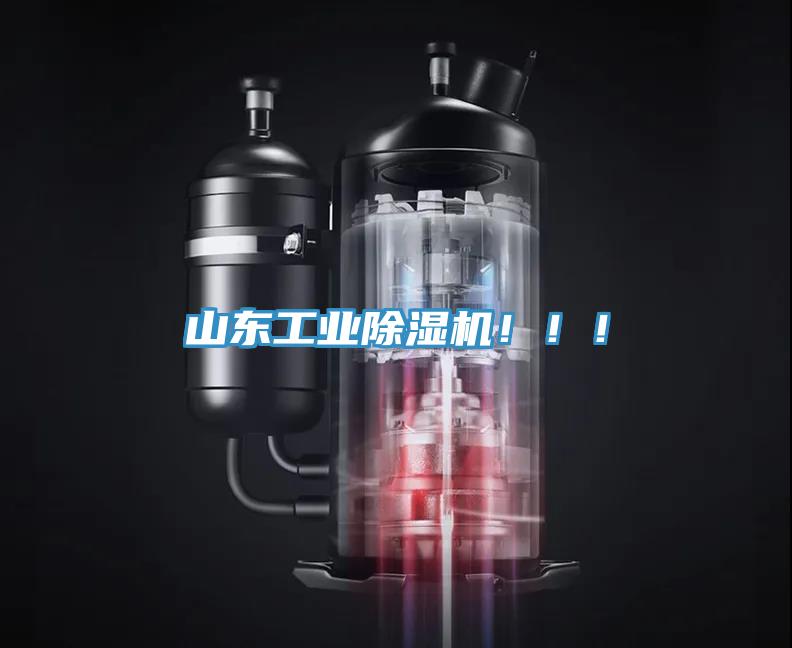 山東工業(yè)除濕機?。?！