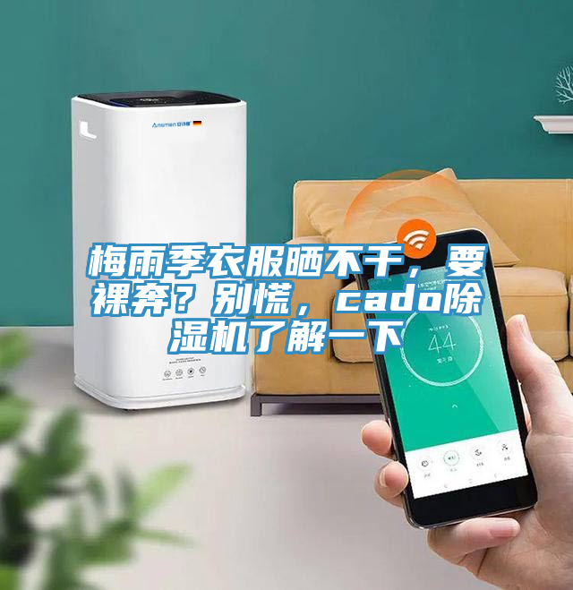 梅雨季衣服曬不干，要裸奔？別慌，cado除濕機了解一下