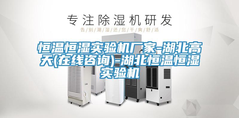 恒溫恒濕實(shí)驗機廠(chǎng)家-湖北高天(在線(xiàn)咨詢(xún))-湖北恒溫恒濕實(shí)驗機