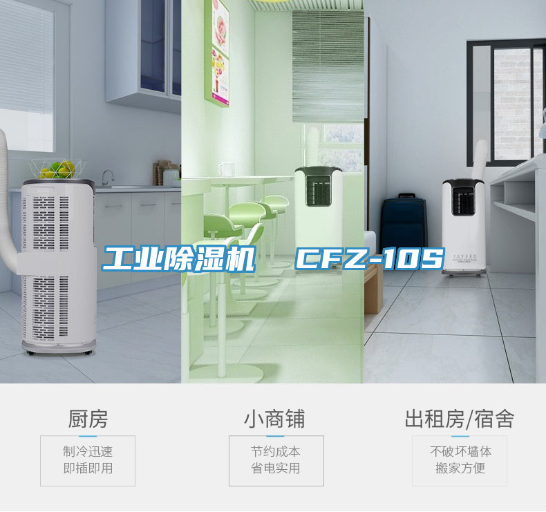 工業(yè)除濕機  CFZ-10S