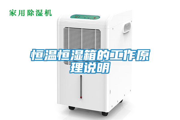 恒溫恒濕箱的工作原理說(shuō)明