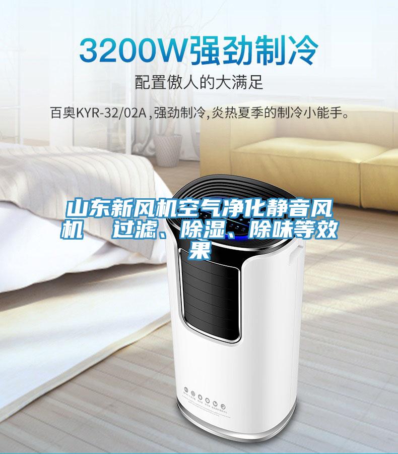 山東新風(fēng)機空氣凈化靜音風(fēng)機  過(guò)濾、除濕、除味等效果