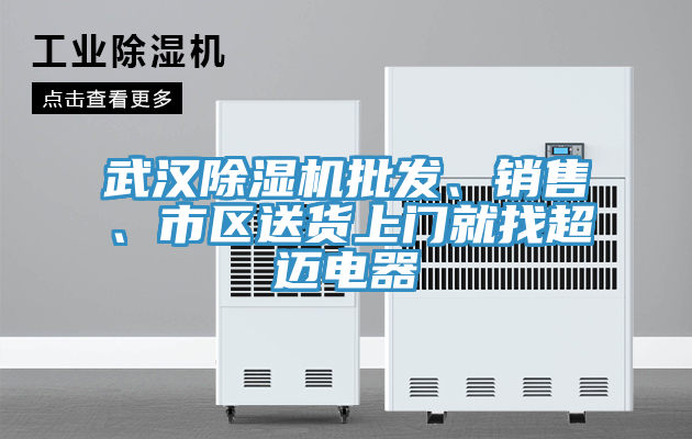 武漢除濕機批發(fā)、銷(xiāo)售、市區送貨上門(mén)就找超邁電器