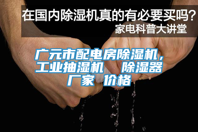 廣元市配電房除濕機，工業(yè)抽濕機  除濕器廠(chǎng)家 價(jià)格