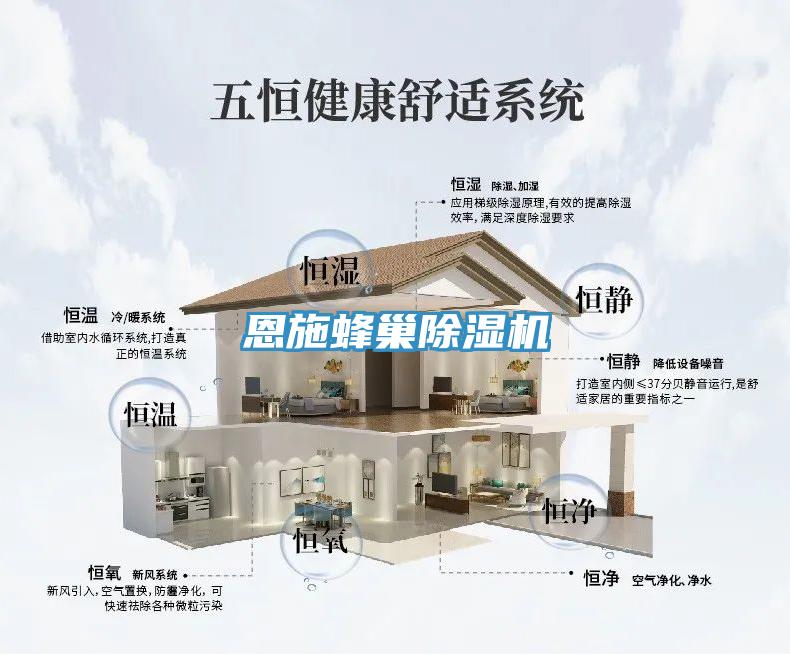 恩施蜂巢除濕機