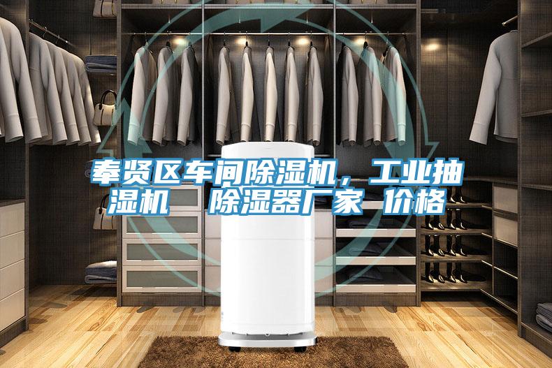 奉賢區車(chē)間除濕機，工業(yè)抽濕機  除濕器廠(chǎng)家 價(jià)格