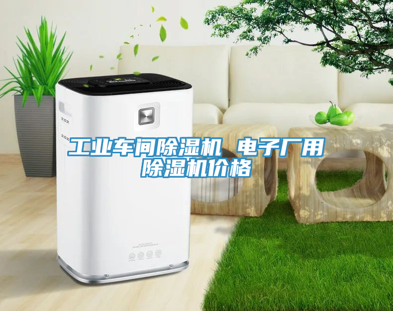 工業(yè)車(chē)間除濕機 電子廠(chǎng)用除濕機價(jià)格