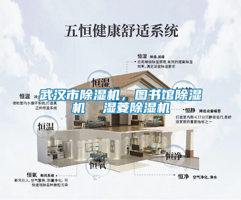 武漢市除濕機，圖書(shū)館除濕機  濕菱除濕機
