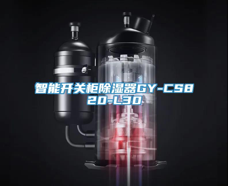 智能開(kāi)關(guān)柜除濕器GY-CS820-L30