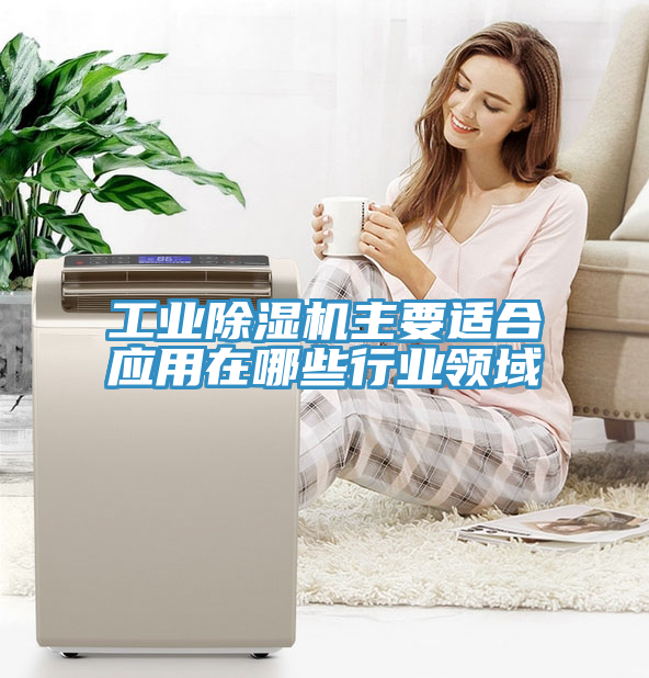 工業(yè)除濕機主要適合應用在哪些行業(yè)領(lǐng)域