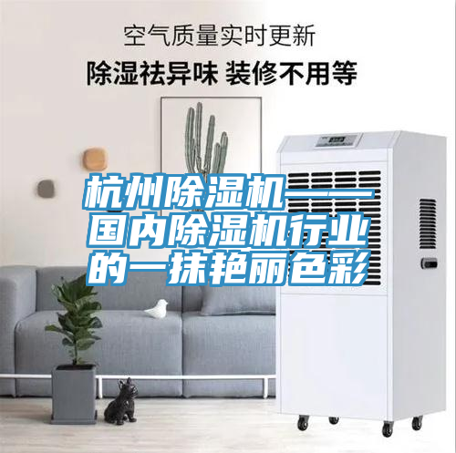 杭州除濕機——國內除濕機行業(yè)的一抹艷麗色彩