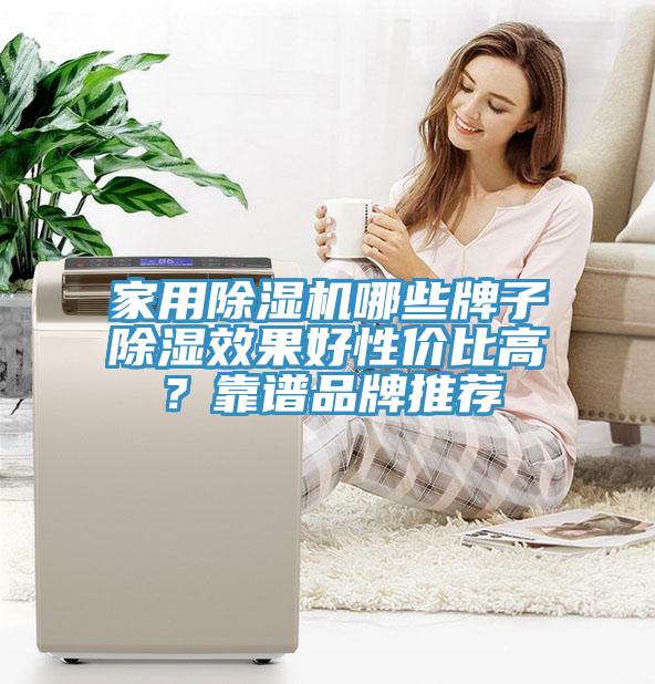 家用除濕機哪些牌子除濕效果好性?xún)r(jià)比高？靠譜品牌推薦