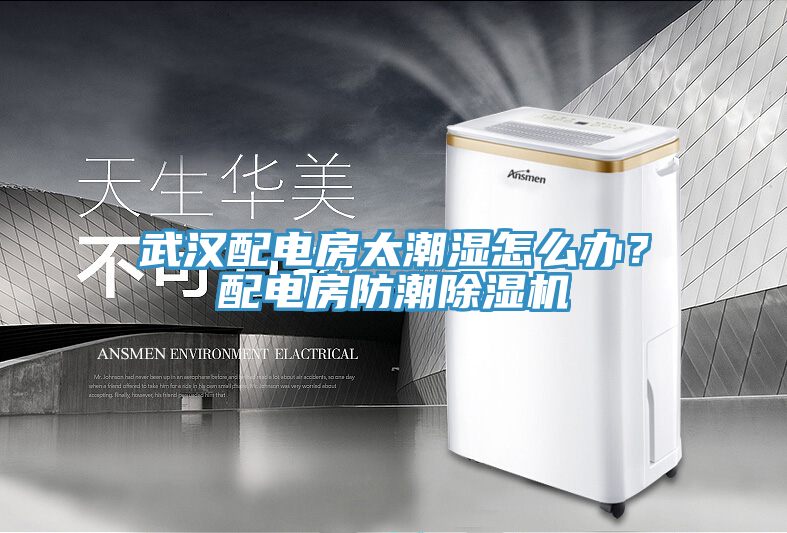 武漢配電房太潮濕怎么辦？配電房防潮除濕機