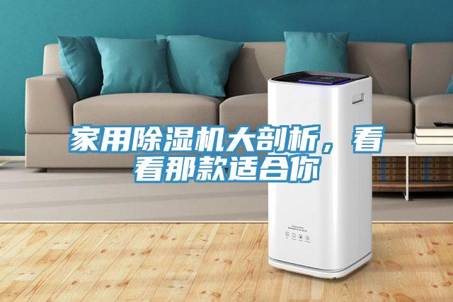 家用除濕機大剖析，看看那款適合你