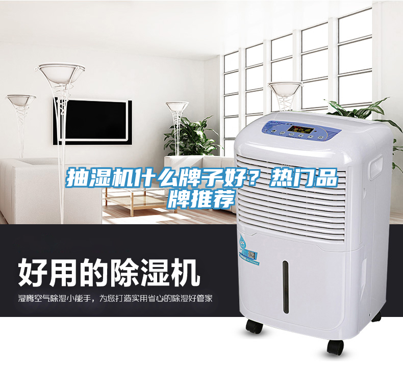 抽濕機什么牌子好？熱門(mén)品牌推薦