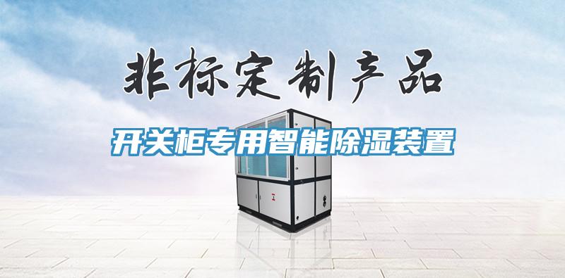 開(kāi)關(guān)柜專(zhuān)用智能除濕裝置