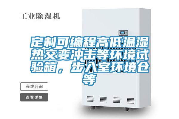定制可編程高低溫濕熱交變沖擊等環(huán)境試驗箱，步入室環(huán)境倉等