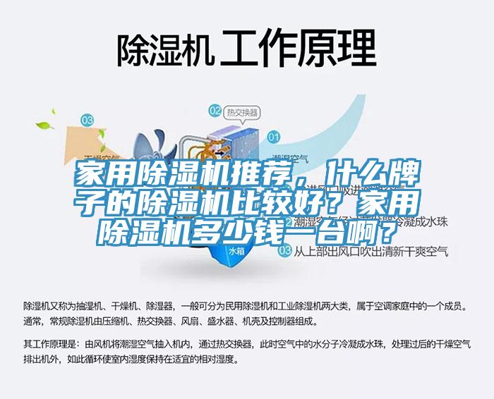 家用除濕機推薦，什么牌子的除濕機比較好？家用除濕機多少錢(qián)一臺??？