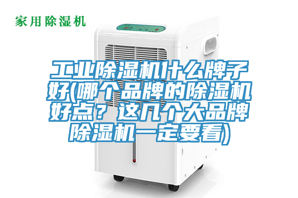 工業(yè)除濕機什么牌子好(哪個(gè)品牌的除濕機好點(diǎn)？這幾個(gè)大品牌除濕機一定要看)