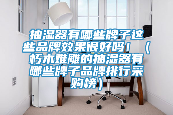 抽濕器有哪些牌子這些品牌效果很好嗎?。ㄐ嗄倦y雕的抽濕器有哪些牌子品牌排行采購榜）