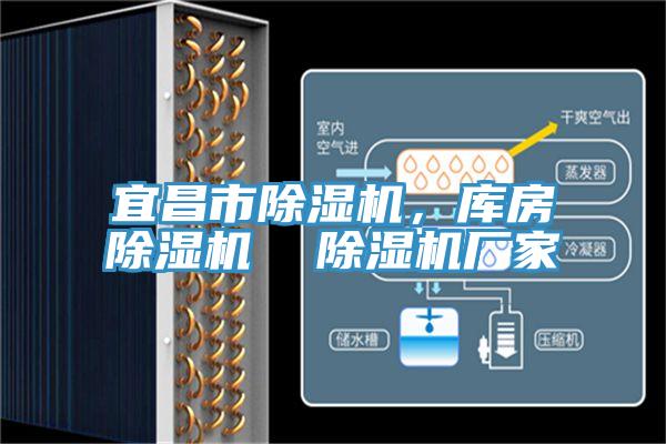 宜昌市除濕機，庫房除濕機  除濕機廠(chǎng)家