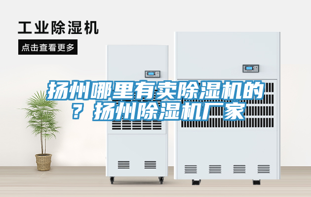 揚州哪里有賣(mài)除濕機的？揚州除濕機廠(chǎng)家