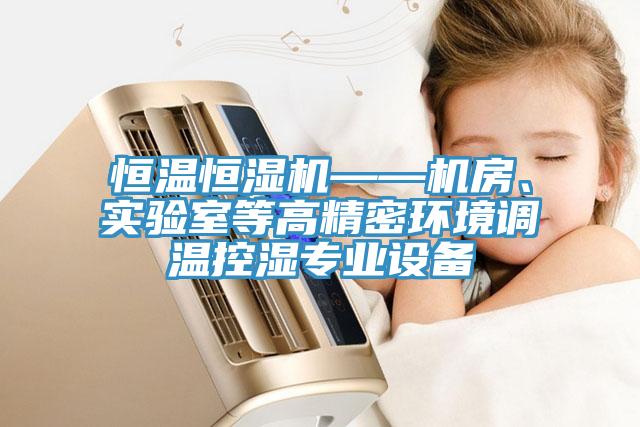 恒溫恒濕機——機房、實(shí)驗室等高精密環(huán)境調溫控濕專(zhuān)業(yè)設備