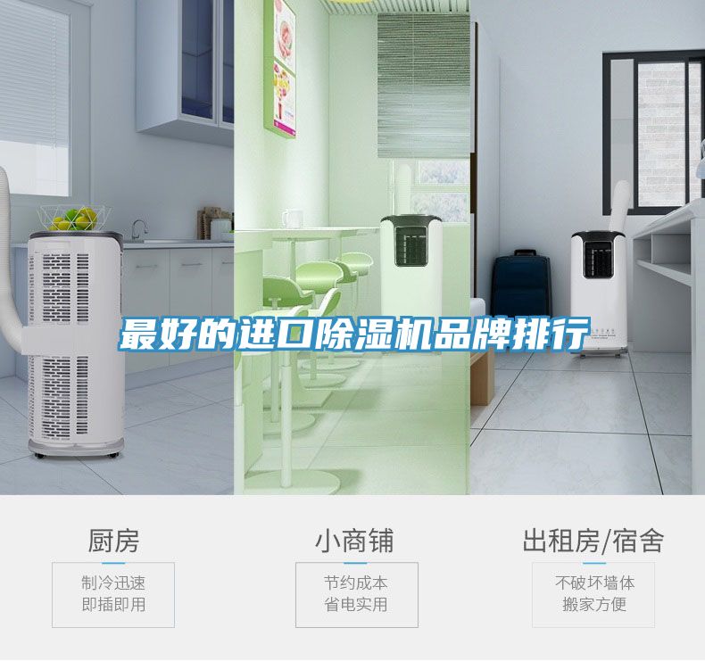 最好的進(jìn)口除濕機品牌排行