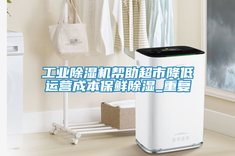 工業(yè)除濕機幫助超市降低運營(yíng)成本保鮮除濕_重復