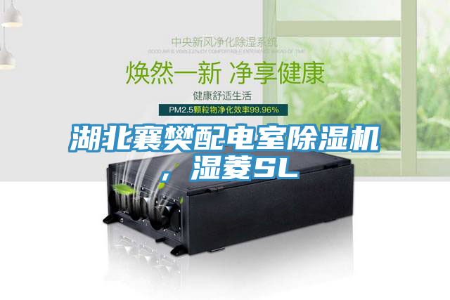 湖北襄樊配電室除濕機，濕菱SL