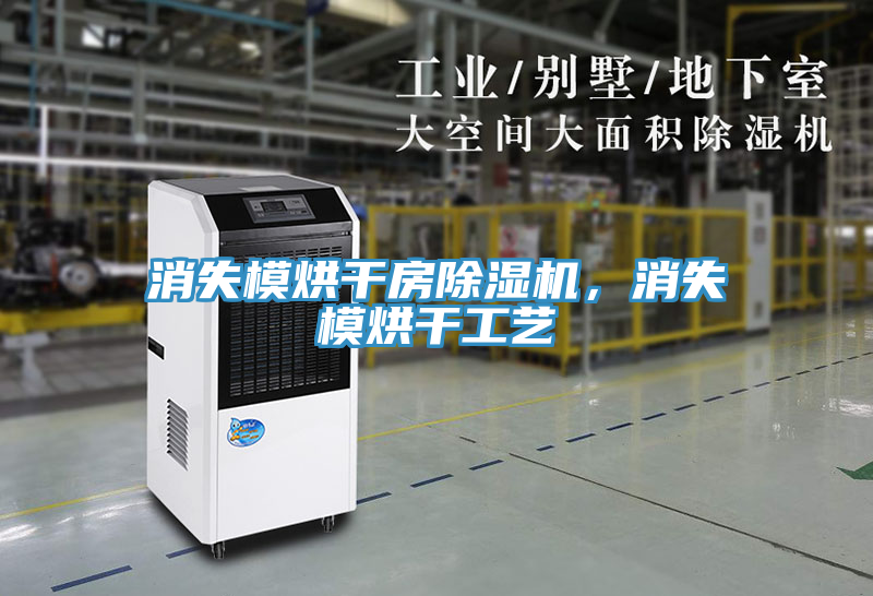 消失模烘干房除濕機，消失模烘干工藝