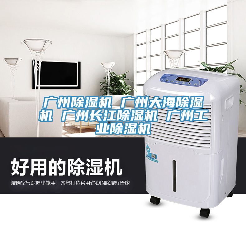 廣州除濕機 廣州大海除濕機 廣州長(cháng)江除濕機 廣州工業(yè)除濕機