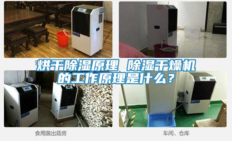 烘干除濕原理 除濕干燥機的工作原理是什么？