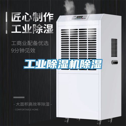 工業(yè)除濕機除濕